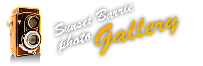 Drive-In Gallery